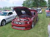 Enlarge photo 294