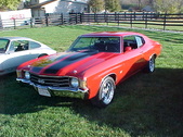 Enlarge photo 3170