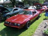 Enlarge photo 235