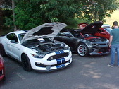 Enlarge photo 967