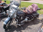 Enlarge photo 259