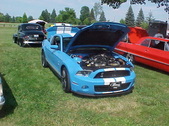 Enlarge photo 538