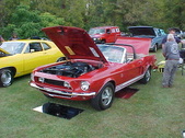 Enlarge photo 2143