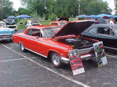 Enlarge photo 244