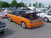 Enlarge photo 347