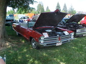 Enlarge photo 536