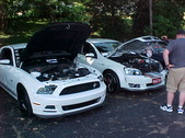 Enlarge photo 964