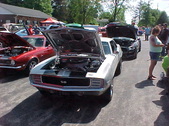 Enlarge photo 179