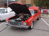 Enlarge photo 2551