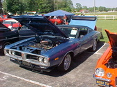 Enlarge photo 113