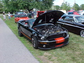 Enlarge photo 1229