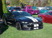 Enlarge photo 3163