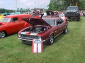 Enlarge photo 284