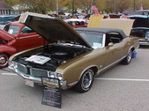 Enlarge photo 2575