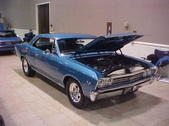 Enlarge photo 61
