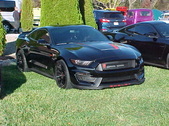 Enlarge photo 3161