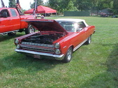 Enlarge photo 610