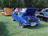 Enlarge photo 1577