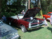 Enlarge photo 1623