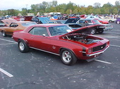 Enlarge photo 2474