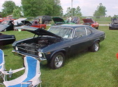 Enlarge photo 382