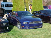Enlarge photo 3160