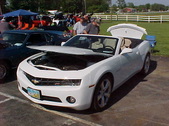Enlarge photo 110