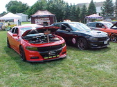 Enlarge photo 1175