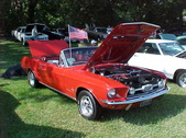 Enlarge photo 1596