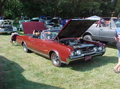 Enlarge photo 1573