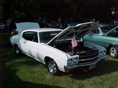 Enlarge photo 1595