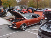 Enlarge photo 2569