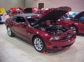 Enlarge photo 55