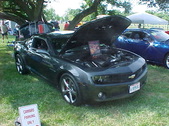 Enlarge photo 527
