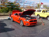 Enlarge photo 2776
