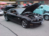Enlarge photo 2592