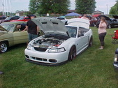 Enlarge photo 375