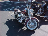 Enlarge photo 2733