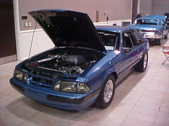 Enlarge photo 49