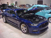 Enlarge photo 45