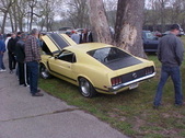 Enlarge photo 69