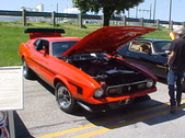 Enlarge photo 231