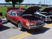 Enlarge photo 229