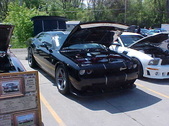 Enlarge photo 438