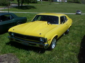 Enlarge photo 216