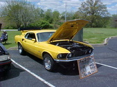 Enlarge photo 258