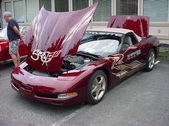 Enlarge photo 4528