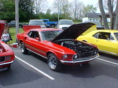 Enlarge photo 285