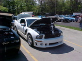 Enlarge photo 437