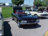 Enlarge photo 163